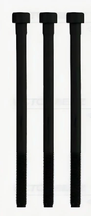 Victor Reinz 160759080 (10x) silindir kafa cıvatasına uyuyor